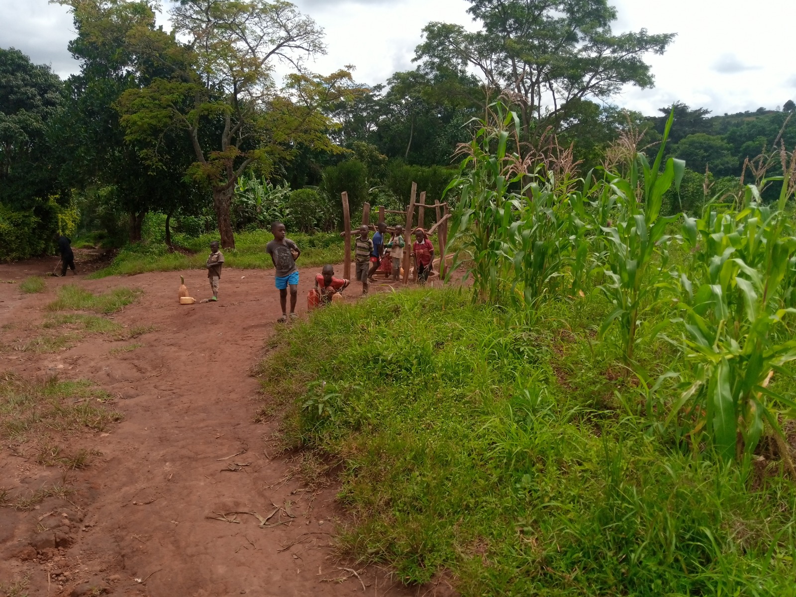 Community Impact